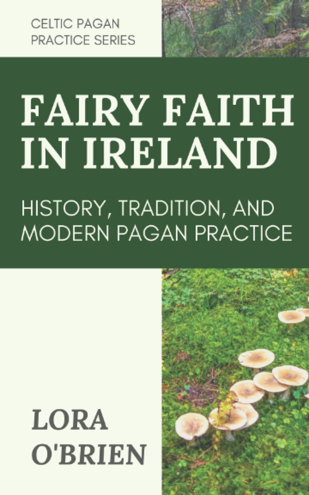 Book Review- Lora O’Brien’s Fairy Faith in Ireland: History, Tradition, and Modern Pagan Practice