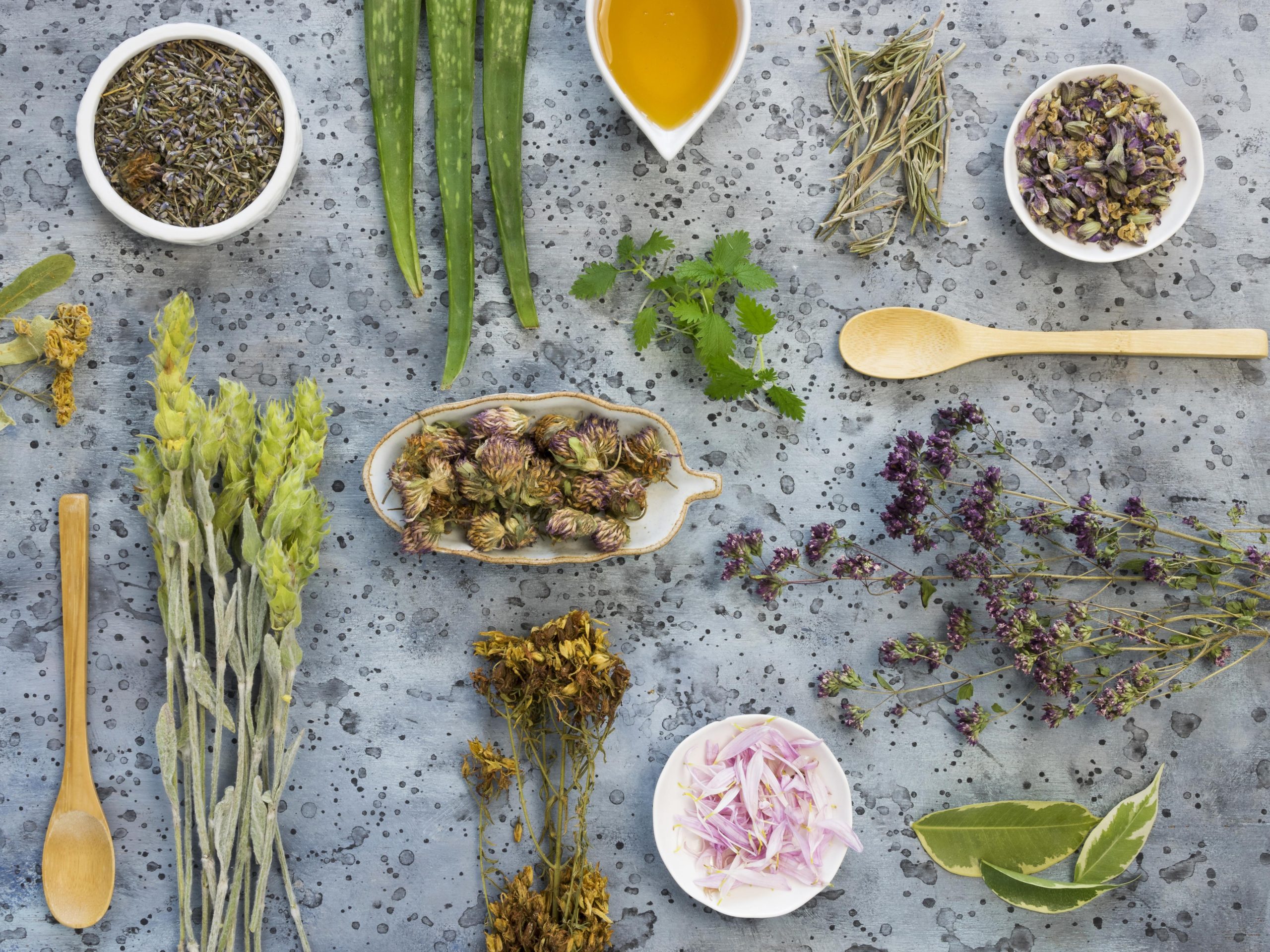 Harnessing Nature’s Essence: Crafting Metaphysical Poultices with Leftover Harvest Herbs